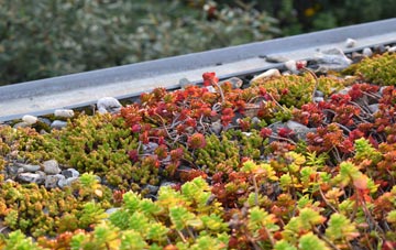 the cost of Harbertonford green roof installation