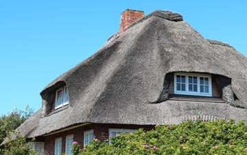 thatch roofing Harbertonford, Devon