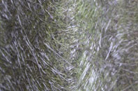 Harbertonford fibreglass roof work